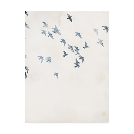 Design Fabrikken 'Pigeons Sky Fabrikken' Canvas Art,18x24